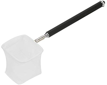 Fangnetz Shrimp Net Fischnetz für Aquarium Aquarium Kescher Net Tragbares Fangnetz Einstellbares Mini Fischernetz mit Teleskopstangen Griff (Schwarz Quadratisches Netz)