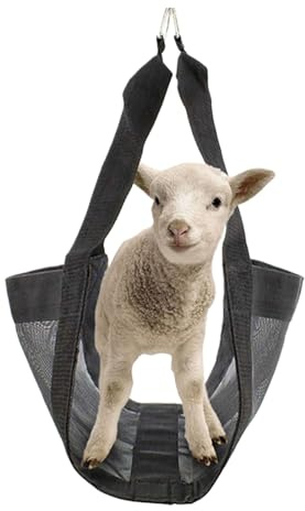Bricolage à l'échelle du mollet, faisceau de câbles du veau de poids, sangle en nylon pour peser les animaux, lever l'animal réglable pour veaux, chèvres, C.