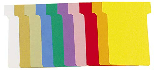 Exacompta - Ref. 57945E - Förpackning med 10 lådor om 100 T-kort - index N°1,5 - perfekt för att organisera dina scheman - mått 45 x 53 x 36 x 15 mm - 10 assorterade färger