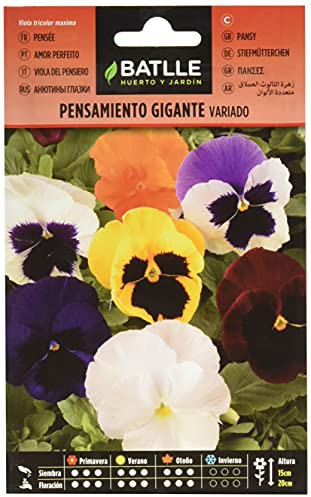 Batlle – Semi di Fiori – Viola del Pensiero Gigante in miscuglio