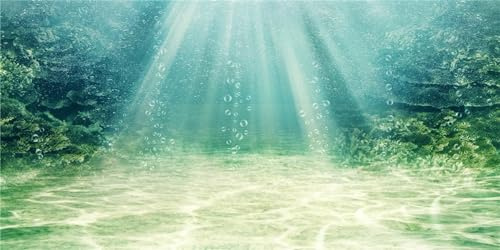 MIRRORANG 61x41cm Aquarium Hintergrund Wasserpflanze Blase Unterwasser Ozean Boden Fisch Tank Poster Hintergrund Vinyl Hintergrund