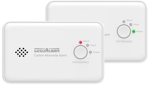 Detecteur monoxyde Carbone, Pile de 10 Ans Détecteur monoxyde de Carbone, détecteur de CO avec Bouton Test/Silence, Moniteur de CO, certifié EN50291 (2 pièces)
