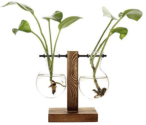 Vasetti idroponici per piante vintage vaso da fiori trasparente con struttura in legno da tavolo in vetro per piante per la casa, bonsai, spedizione di goccia (B - 2 vaso lampadina)