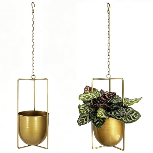 Smaxcn Hängender Blumenampel,Blumentopf Hängend Metall Bolo Blumenampel für Sukkulenten,Für Verwendung im Innen- und Außenbereich(Gold)