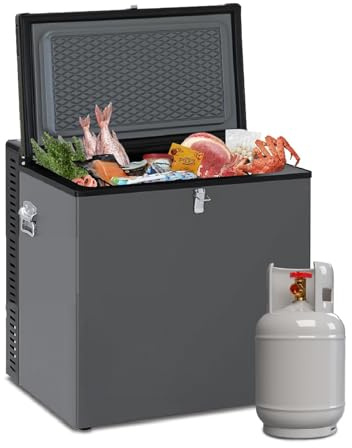 Techomey Gas Gefrierschrank, 70L, Gefrierschrank Gas 12V 230V, Tiefkühlschrank für Garage, Haus, Chalet, Hütte, Ferienhaus, Wohnmobil, Schwarz