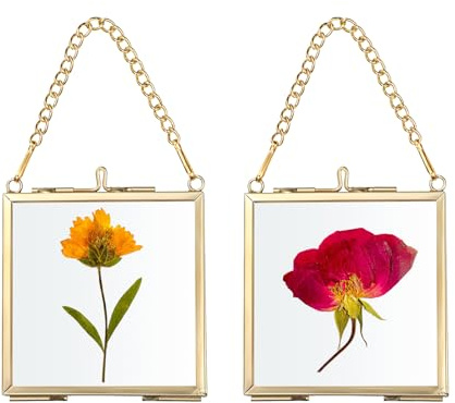 SUMTree 2 Pcs Mini-Quadrat Bilderrahmen aus Metall Glas Hängende Glas Fotorahmen Geometrische Ornament Pflanze Probe Clip Glasrahmen für gepresste Blumen Fotos 2.7 x2.7in/7 x7cm (Golden, nur Rahmen)