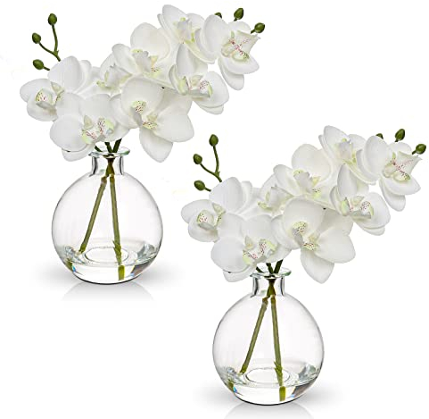 2 pcs Künstliche Orchideen weiß mit Glasvase, Kunstpflanze Decor Orchideen Kunstblumen im vase mit Real Touch Blüten, Gefälschte Orchideen künstliche Bonsai für Hotel Wohnzimmer Büro Küche