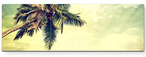 Paul Sinus Art canvastavlor | Bilder duk 150 x 50 cm palm vid havet