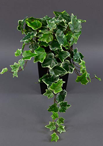 Seidenblumen Roß Efeubusch Real Touch Kunstpflanzen künstliches Efeu Efeuranke (55cm, Grün-Weiß)