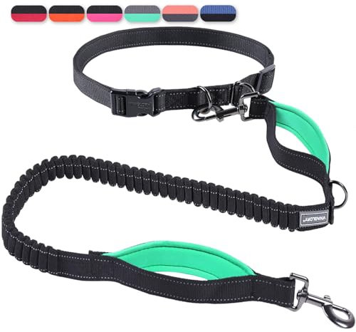VIVAGLORY Joggingleine Hunde Bungeeone Hundeleine Joggen, Laufleine mit Schlaufe & Gepolstertem Griff für Hausleine Joggingleine, Bungee & Gummizug für Hunde, S, Schwarz/Türkis