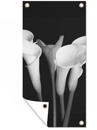 MuchoWow Poster exterieur Gros plan sur des fleurs de lys de calla sur un fond noir. Decoration murale 80x160 cm Résistant aux intempéries/soleil