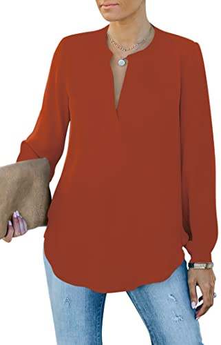 Homlan Blusa Elegante para Mujer, Cuello en V, Manga Larga, Informal, túnica, Camiseta de Manga Larga, Monocolor, Suelta