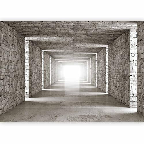 murando Fotomurales 3D Tunel 400x280 cm XXL Papel pintado tejido no tejido Decoración de Pared decorativos Murales moderna Diseno Fotográfico Pared Ladrillo Textura Abstracto d-B-0409-a-a