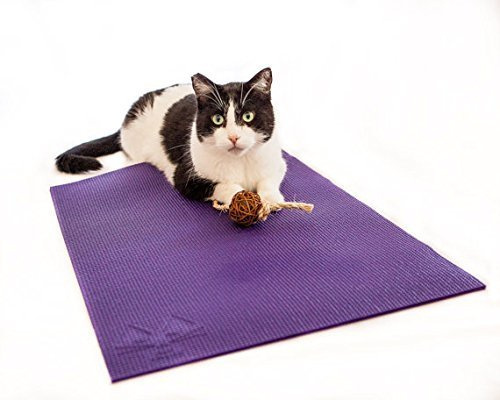 Feline Yogi Cat Mat with Catnip Cat Toy. Cat Scratching Post, Bed, Activity Play Mat (Purple)