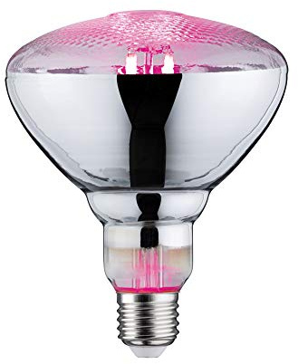 Paulmann 28737 LED Lampe Pflanzenlicht 6,5W Leuchtmittel Wachstumslicht Beleuchtung Glas Licht 1300 K E27