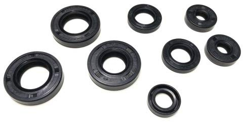 Wellendichtring Set Motor Kurbelwelle passend für Aprilia Derbi Gilera 50ccm LC 2T (D50B0) – inkl. Wasserpumpendichtungen 10x24x6 für E2 Modelle