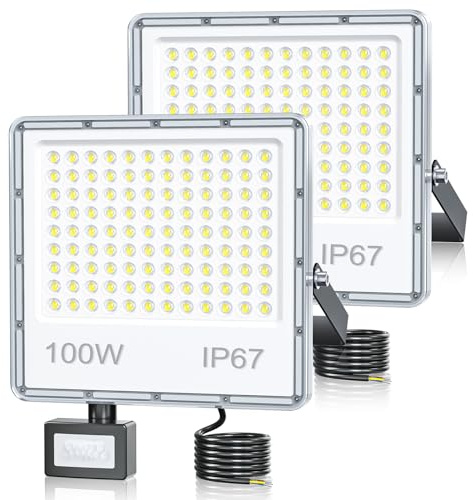 TOPAUBUB LED Strahler mit Bewegungsmelder Außen 100W, LED Fluter Scheinwerfer mit Bewegungsmelder Außen 10000LM 6500K Kaltweiß IP67 Wasserdicht für Garten/Hofbeleuchtung(2 Stücke)