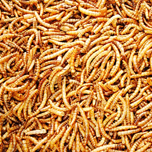UK GROW 10L Premium value Dried Mealworms 10 litres (10L)
