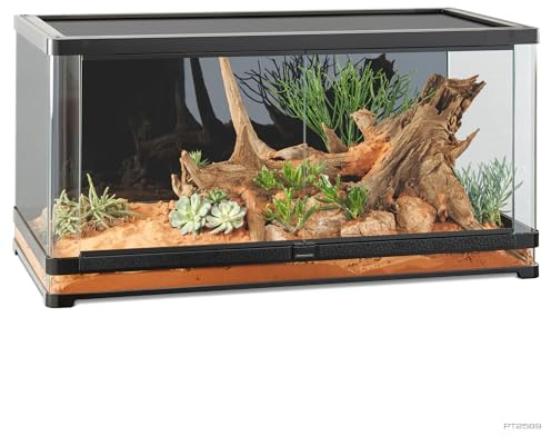 Exo Terra Vista 120XL - Panorama-Naturterrarium