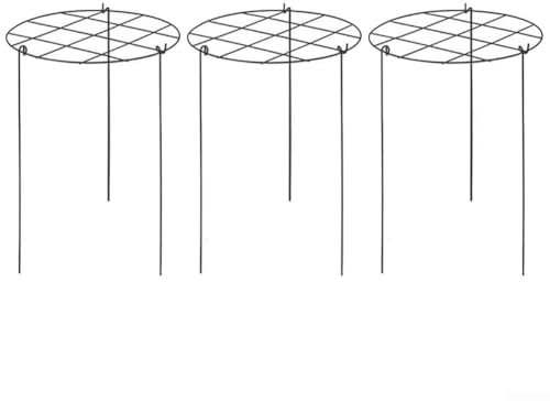 Paquete de 3 jaulas de soporte para plantas trepadoras, soporte de anillo para plantas para plantar jardín, marco de escalada de plantas, soporte de rosas de hortensia, soporte de flores trepadoras