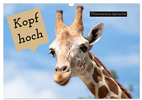 Kopf hoch Motivations Sprüche (Wandkalender 2026 DIN A3 quer), CALVENDO Monatskalender: Bleibe positiv! (CALVENDO Gesundheit)