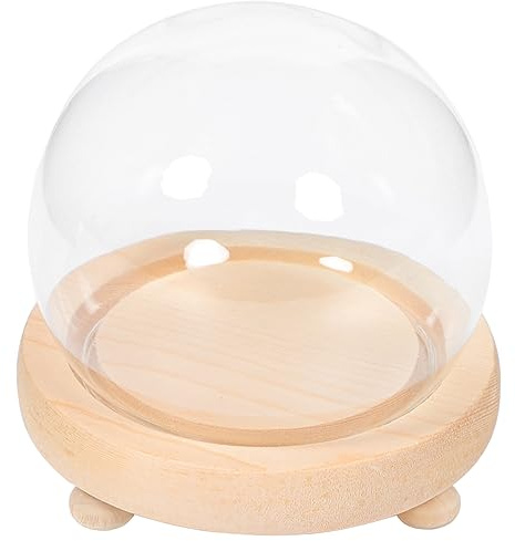 JEWEDECO Glass Dome Cover for Forever Dried Flower House Decor Wedding Decorations Doll Cover Eternal Flower Display