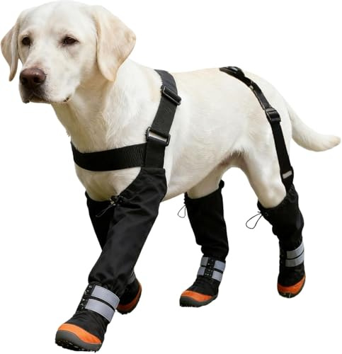 Hundeschuhe Pfotenschutz Outdoor wasserdichte Hundeschuhe Rutschfester Pfotenfußschutz für Hunde mit Strapse für verletzte Pfoten, stoppen Lecken, Outdoor, Spazierengehen, Schnee, regnerisches