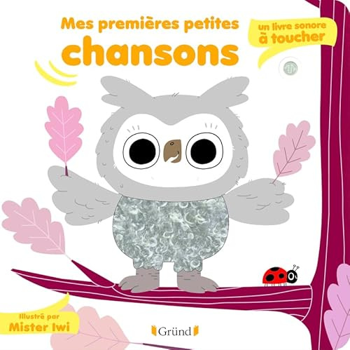 Mes premières petites chansons : un livre sonore à toucher Livre sonore et éveil avec 5 puces sonores et 5 matières à toucher Bébé dès 6 mois