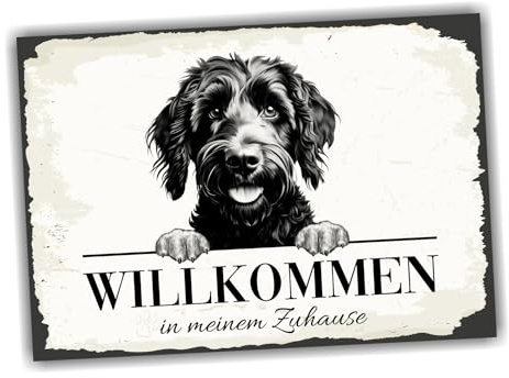 siviwonder Hundeschild Willkommen Zuhause Goldendoodle Doodle No.2 Dog Schild Spruch Türschild Warnschild Geschenkidee schöner Spruch Hundemotiv Aluminium Wetterfestes Hundeschild
