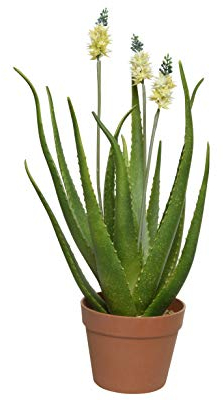 Kaemingk Agave Topf Kunstpflanze Kunstblume Zuhause Hochzeit Büro Dekoration grün H 60 cm Ø 13 cm
