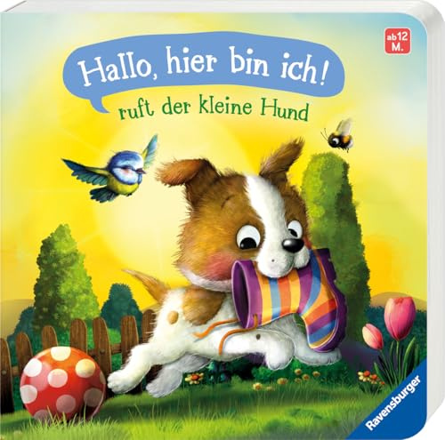 Hallo, hier bin ich!, ruft der kleine Hund: Meine allererste Tiergeschichte - Erstes Vorlesen für Kinder ab 1 Jahr