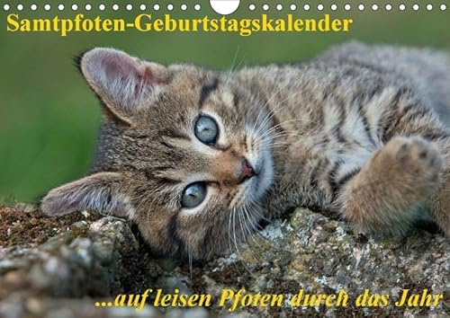 Samtpfoten / Geburtstagskalender (Wandkalender immerwährend DIN A4 quer): Der Katzen-Geburtstagskalender (Geburtstagskalender, 14 Seiten ) (CALVENDO Tiere) [Kalender] [Jan 29, 2013] Mauersberger, Tina