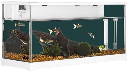 Sistema di filtrazione circolante, pompa dell'acqua silenziosa per pesci rossi, acquario rettangolare in acrilico trasparente, piccoli pesci e decorazione per ufficio a casa, 37,9 x 14,4 x 18,2 cm