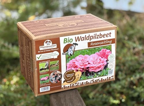 Bio Rosenseitling Waldpilzbeet - Pilze selber züchten