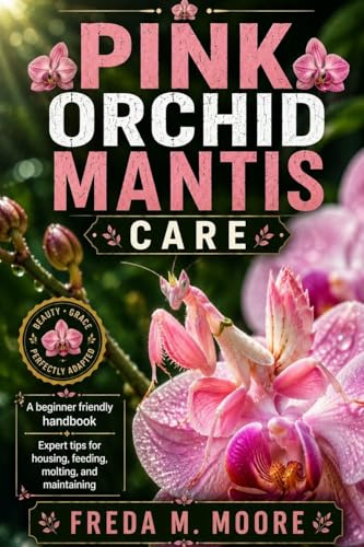 PINK ORCHID MANTIS CARE: A beginner friendly handbook Expert tips for housing, feedimg, molting, and maintaining