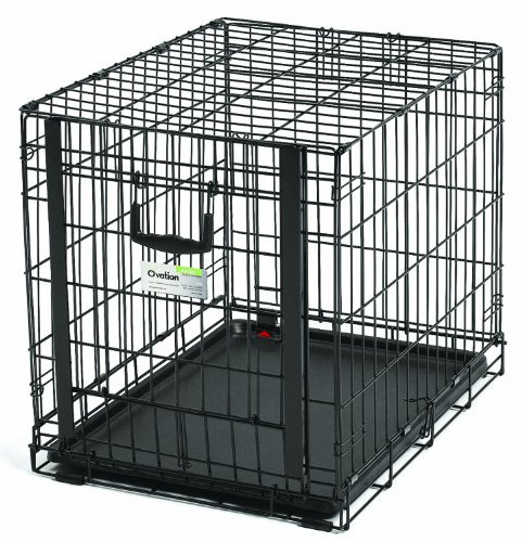 MidWest Homes for Pets 1924 Cage Ovation pliante pour chien, petite taille à une porte en métal de 60,96 cm, noir