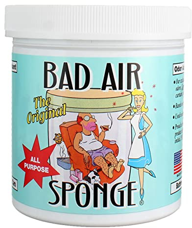 Bad Air Sponge 816261000013