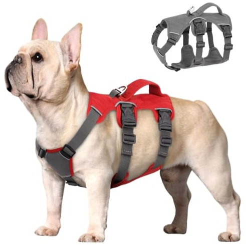 Beirui Ausbruchsicheres Hundegeschirr für kleine, mittelgroße Hunde, reflektierendes Hundegeschirr, kein Ziehen, mit gepolstertem Griff, Training (rot, Brustumfang 25.4–40.6 cm)