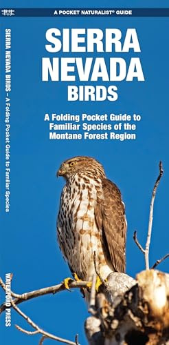 Sierra Nevada Birds: A Folding Pocket Guide to Familiar Species of the Montane Forest Region (Pocket Naturalist Guide Series)