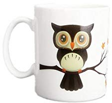 Nowsend Color Changing Magic Morning Tea latte tazza da caffè (Gufo)