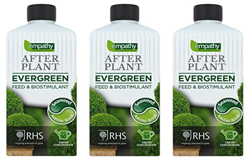 Wolvercroft Garden Centre Empathy After Plant Evergreen Feed Concentrate (1L) x 3