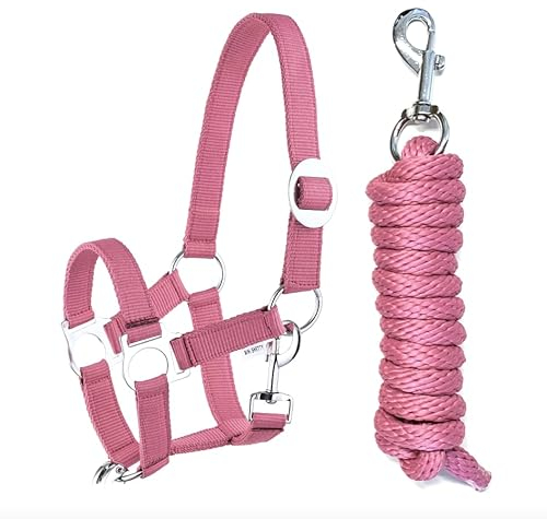 Halfter Führstrick Set mit Karabinerhaken verstellbar Pferdehalfter Pferd Holzpferd Anbindestrick (Karabinerhaken Pink, Mini Shetty)
