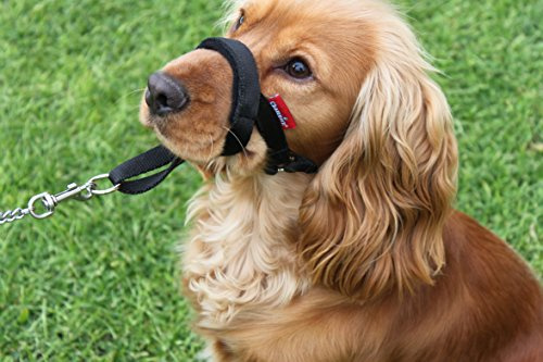 L&J Pets Uk Anti-Zieh-Trainings-Halfter für Hunde, gepolstert (2 - Schwarz)
