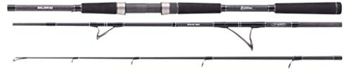 BALZER 71° North Balt Sea Travel 125 1,95m 30-120g