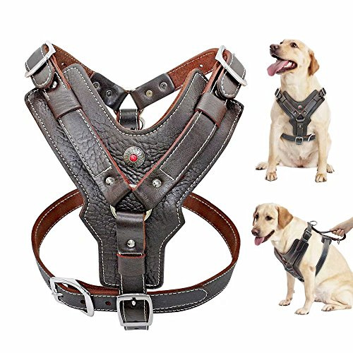PET ARTIST Harnais pour Chien en Cuir épais pour Chiens de Taille Moyenne et Grande, très résistant et Souple, pour Pitbull Boxer, Poitrine 70-100 cm
