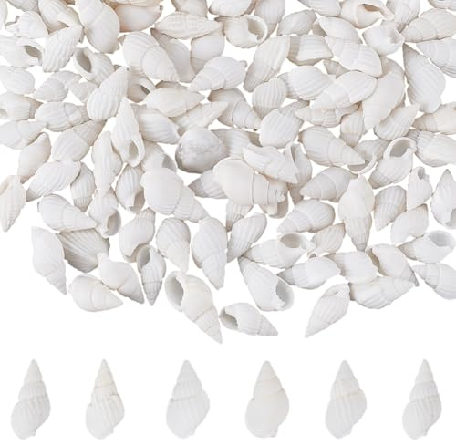 SOFPLATE 1 låda 350 st små vita snäckskal bulk mini spiralskal cirka 1,2 x 8 cm inga hål strand hav trumpet naturlig snäcka skal för hantverk bröllopsfest akvarium ljus vas fyllning heminredning
