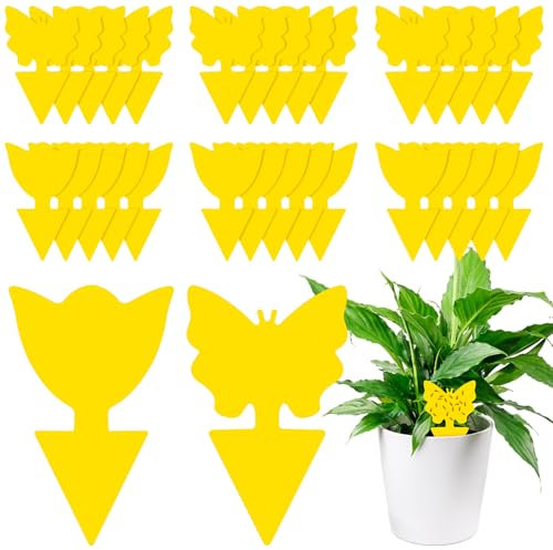 AiQInu 30 Pezzi Trappola per Moscerini, Gialle Trappola per Mosche Della Frutta, per Insetti Volanti Contro i Parassiti, Mosca Bianca, Afidi, Moscerini Fungini per Piante da Giardino