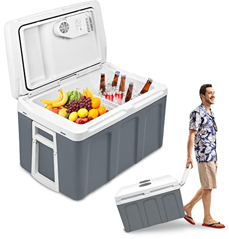 Froadp Frigorifero elettrico da 48 litri, 12 V, 230 V, con maniglia e spina, frigo portatile, riscalda e raffredda le bevande, mini frigo elettrico per barbecue, campeggio, barca, camper (grigio)