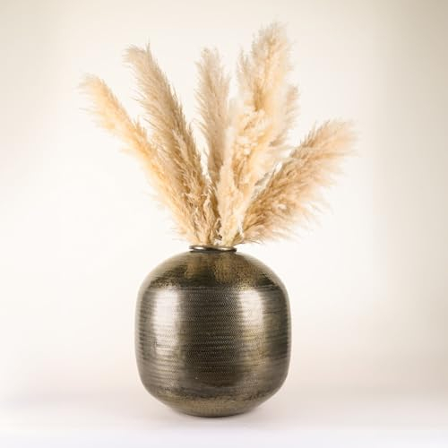 Meine Orangerie - Pampasgras Set - Pampasgras getrocknet - Stilvolle und natürliche Trockenblumen Deko- Deko Wohnzimmer - Hochzeit (Pure Boho)