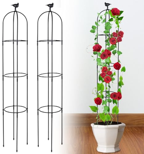 2 stycken trädgårdsrankgaller för klätterväxter, TOROKOM 183 cm höga svarta trädgårdobelisker av rostfritt metall som växtstöd för krukväxter